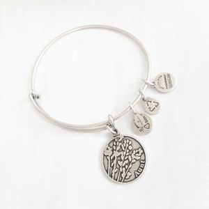 Alex and Ani Because I Love You Aunt Charms silver Bracelet adjustable